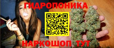 ПСИЛОЦИБИНОВЫЕ ГРИБЫ Будённовск