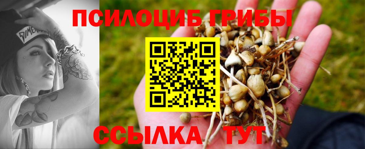 Серпухов  дарнет шоп  Вход с VPN  Галлюциногенные грибы Psilocybe 